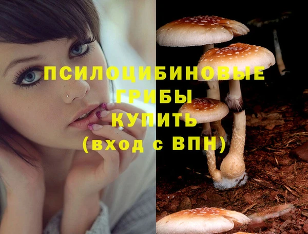 эйфоретик Абдулино