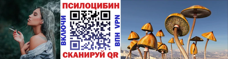 Псилоцибиновые грибы MAGIC MUSHROOMS  наркошоп  Пудож 